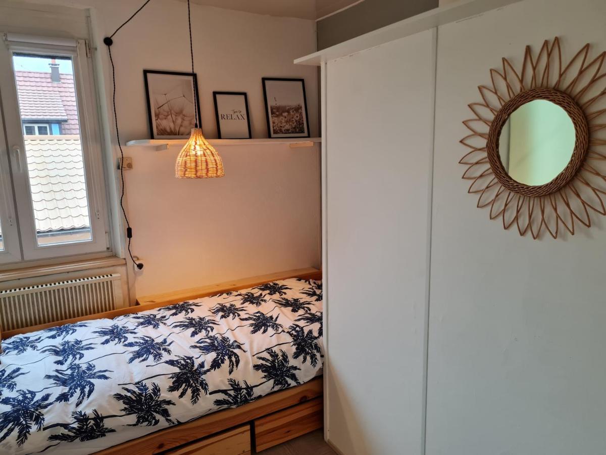 Les Chouchous Du Ried 2 Apartment Saasenheim Екстериор снимка