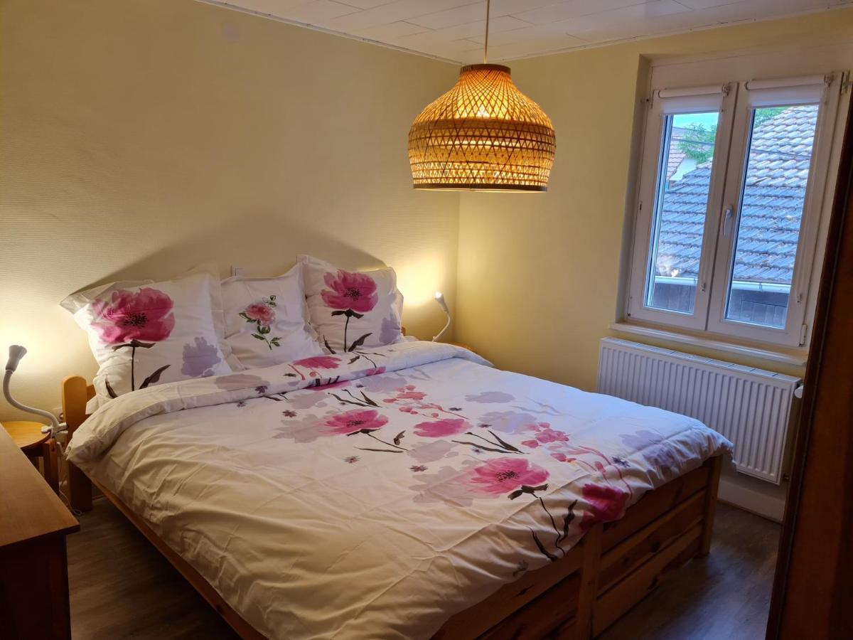 Les Chouchous Du Ried 2 Apartment Saasenheim Екстериор снимка